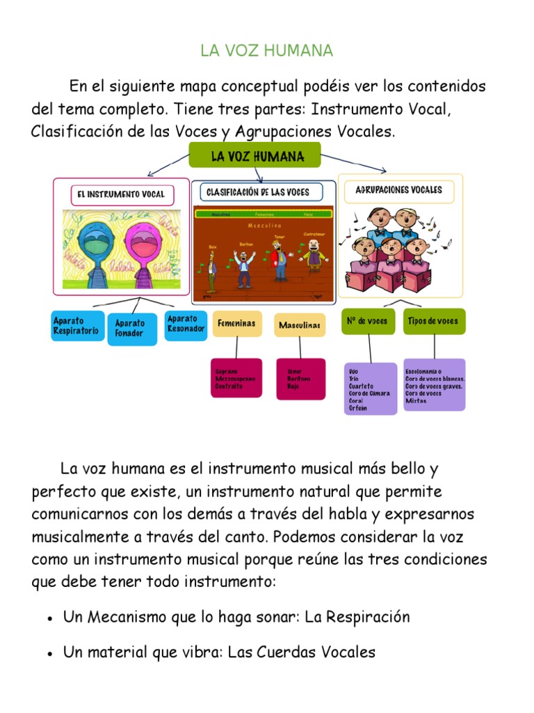 Clasificación y Producción de la Voz Humana | PDF