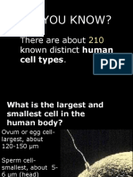 Cell Types XXX