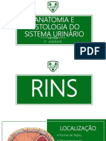 Histologia e Fisiologia Do Sistema Urinário