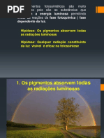 alunosenviar pigmentos (1)