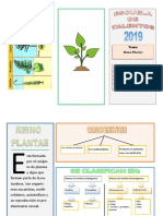 triptico reino plantae