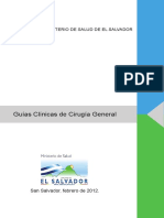 guia_cirugia_general(1).pdf