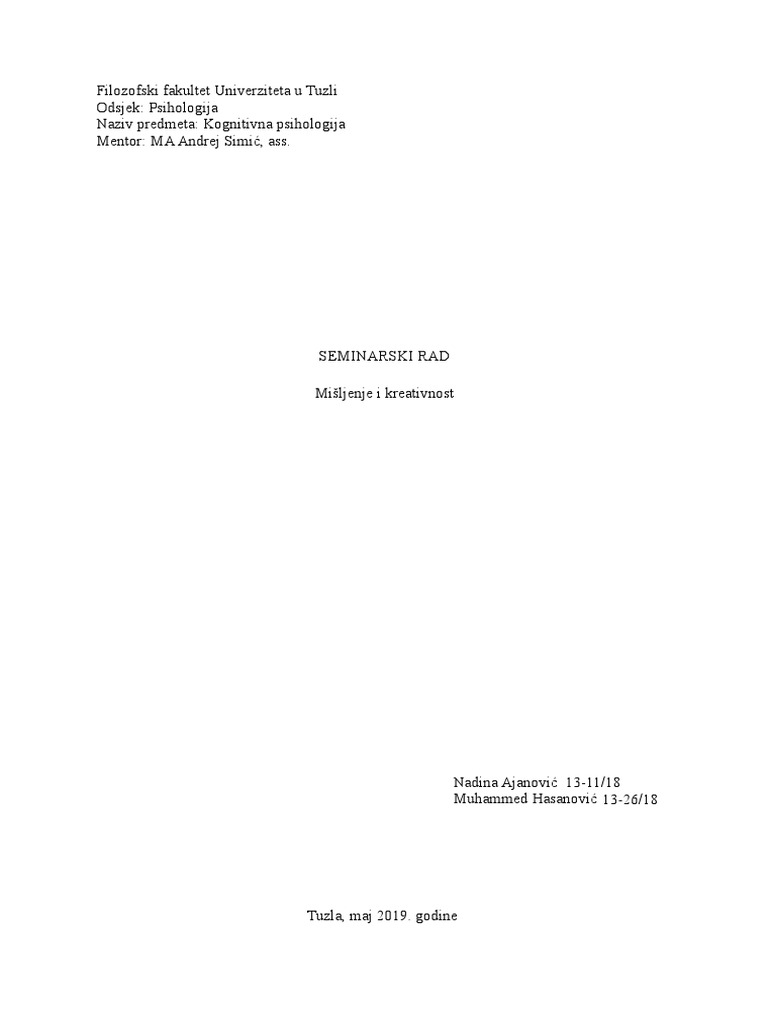 Misljenje I Kreativnost, Seminarski Rad PDF
