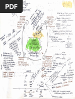 Harari 21 lecciones Parte 1 Notas