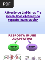 Aula 5 _Ativaçao de Lin T. Imu Celular 2017.02