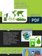 Bio Combustibles