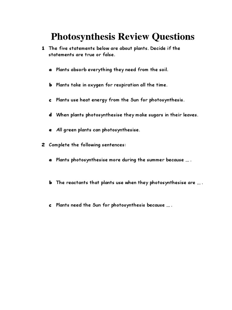 Photosynthesis Quiz for Students | PDF | Science & Mathematics