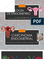 Patología de Endometrio 