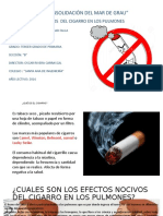 Efectos Nocivos Del Cigarro en Los Pulmones.... - 2