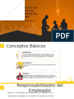 Seguridad y Salud Industrial