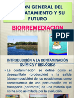 Biorremediacion PDF
