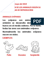 Viviparos y Oviparos Clase