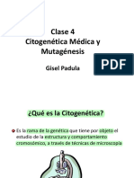 ClaseCitogenética2017