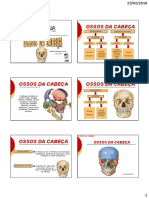 Esqueleto Axial Cabeça PDF