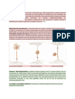 Clase Sinapsis - Documentos de Google