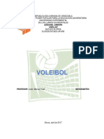 Voleibol