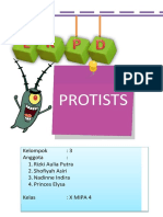 Bio - LKPD Protista