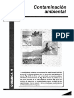 QuimicaII-XIIIContaminacionAmbiental.pdf