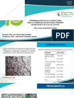 Exposición PDF