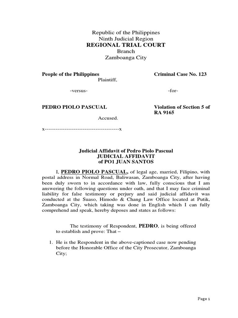 Regional Trial Court: Republic of The Philippines Ninth Judicial Region ...