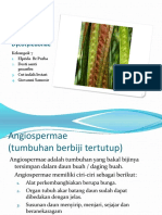 Ppt tugas spermatophyta