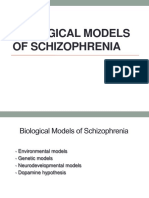 Biological Model of Schizophrenia
