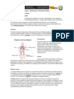 ACTIVIDAD El Sistema Inmunológico