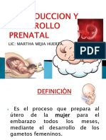 Exposicion Prenatal