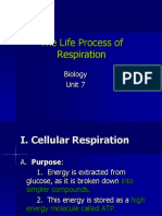 The Life Process of Respiration: Biology Unit 7