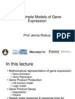 Simple Models of Gene Expression