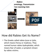 Rabies in Animals