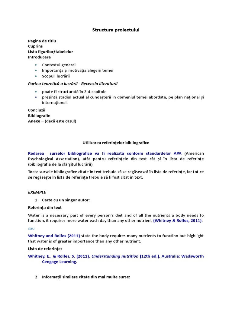 Structura Proiect ASE | PDF