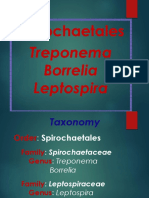 Spirochaetales: Treponema Borrelia Leptospira