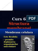 Curs 6 - Membrana Plasmatica