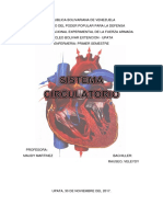 sistema circulatorio.docx