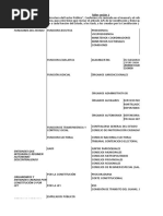Estructura Del Sector Publico Ecuador