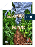 Cadena Productiva de Tabaco en El Huila 2011 (1)