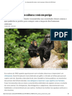 SALAS Javier - Os Chimpanzés Têm Cultura e Está Em Perigo _ Ciência _ EL PAÍS Brasil