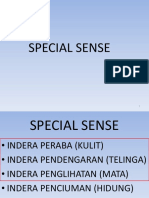 Kuliah Histologi Special Sense 2017 PDF