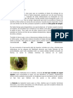 Documento 123