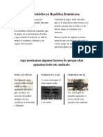 Los Feminicidios en República Dominicana Rojo