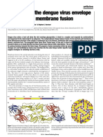 Structure of The Dengue Virus Envelope Protein Aft