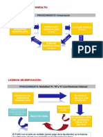 procedimiento de licencia.pdf