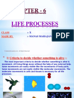 6 Life Processes