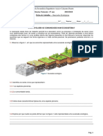 Sucessões ecológicas: como as comunidades evoluem num ecossistema