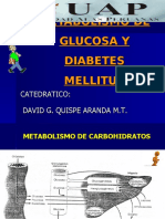 Clase 2. Glucemia