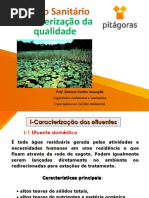 Impactos+ambientais+do+lançamento+de+efluentes+in+natura