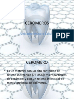 ceromeros-120910131307-phpapp01.pdf