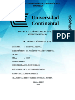 INFORME PH.docx