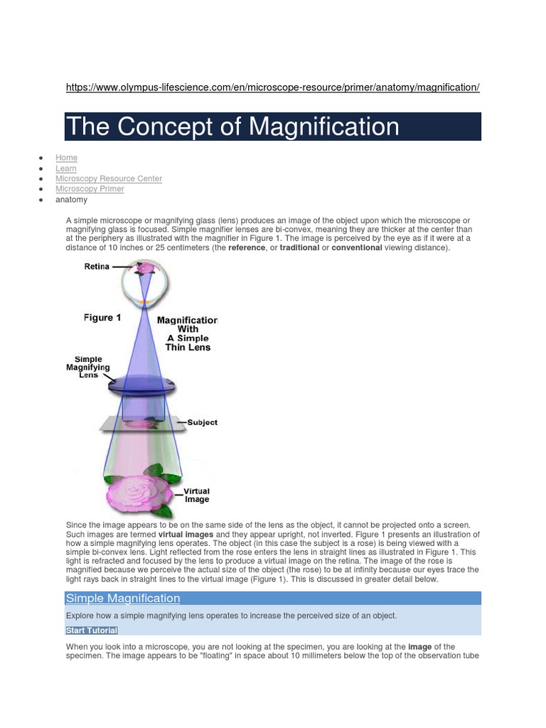 Useful Magnification Olympus PDF Lens (Optics) Glass Engineering